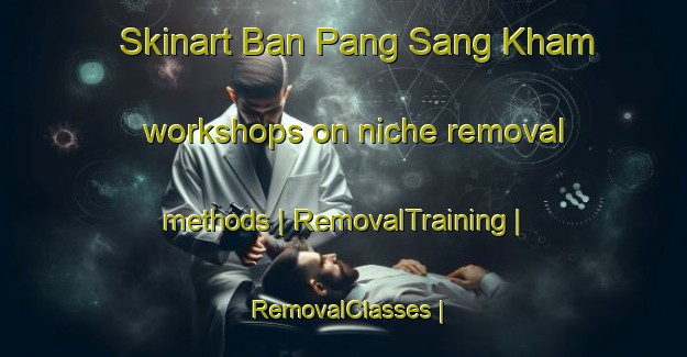 Skinart Ban Pang Sang Kham workshops on niche removal methods | RemovalTraining | RemovalClasses | SkinartTraining-Thailand